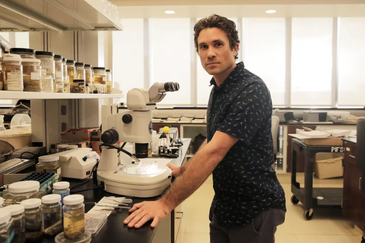 PHOTO: REFINERY29.Dr. Jonathan Whitney has discovered microbeads from beauty products in the bellies of dead larval fish.