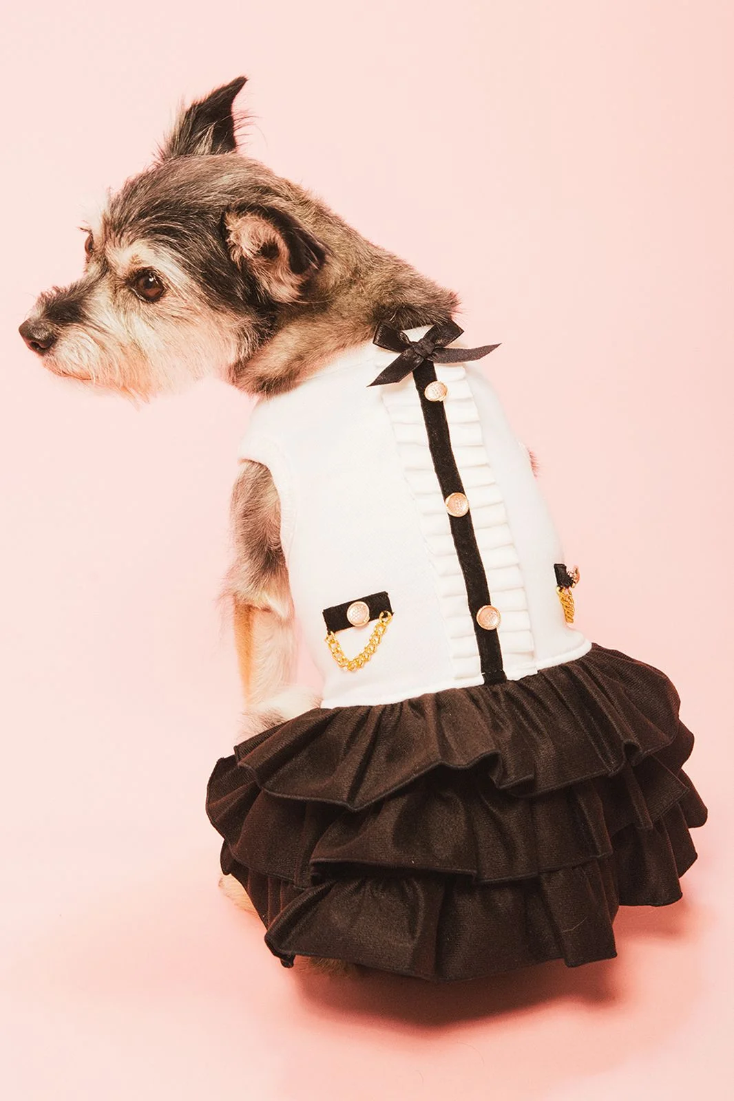 PHOTOGRAPHED BY DEREK WOOD.